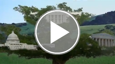 Fact of Congress: Three Branches of Government Video