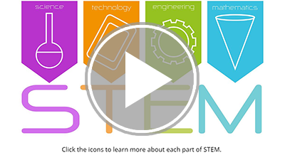 STEM Basics interactivity