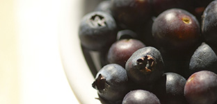 blueberries in a bowl