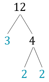 factor tree that represents a factoring of twelve completely into three times two times two