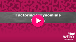 Factoring Polynomials Review