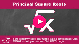 Principal Square Roots interactivity