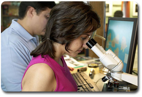 scientists looking in microscopes