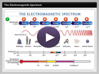 The Electromagnetic Spectrum Player