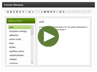 course glossary player