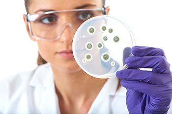 Young woman scientist looking at a petri dish filled with bacteria