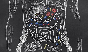 Sketch of bacteria in the gut