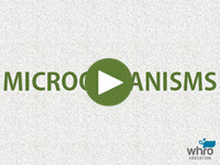 Microorganisms Interactivity