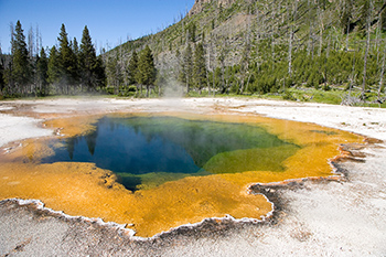 A hot spring surrounded by a mat of bacteria