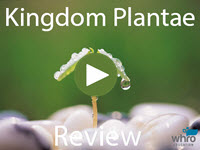 Kingdom Plantae Review