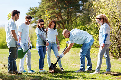 students volunteering by planting a tree