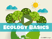 Ecology Basics