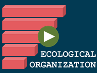 Ecological Organization