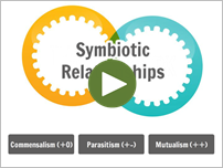 Symbiotic Relationships