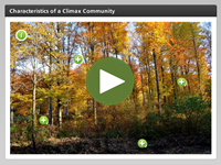 Characteristics of a Climax Community