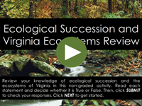 Ecological Succession and Virginia Ecosystems Review