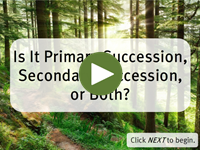 Is It Primary Succession, Secondary Succession, or Both?