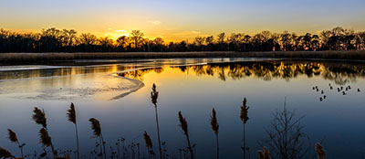 the Chesapeake Bay