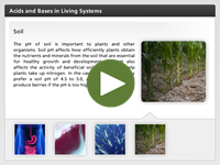 Acids and Bases in Living Systems player