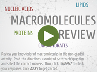 Macromolecules Review player