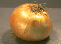 onion