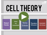 Cell Theory