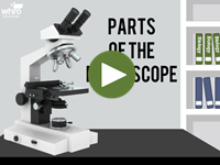 Parts of the Microscope