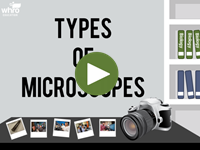 Types of Microscopes