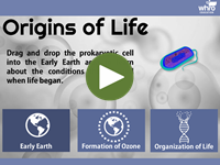 Origins of Life