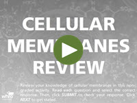 Cellular Membranes Review