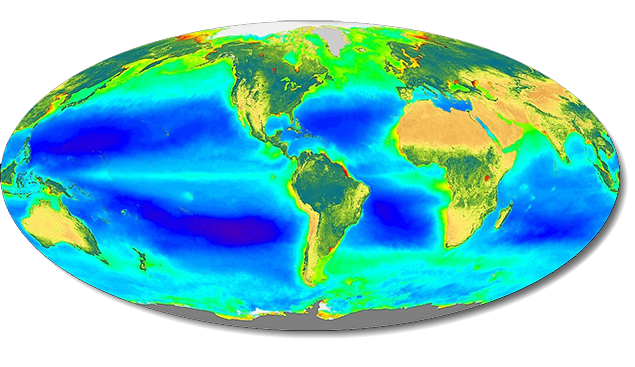 Satellite image of photosynthesis