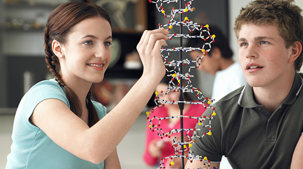 Students modeling DNA