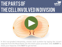 Parts of the Cell Involved in Division