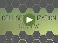 Cell Specialization Review