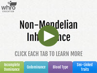 Non-Mendelian Inheritance