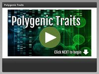 Polygenic Traits