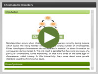 Chromosome Disorders