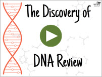 The Discovery of DNA review