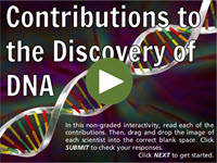 Contributions to the Discovery of DNA