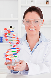 Young scientist holding DNA molecule