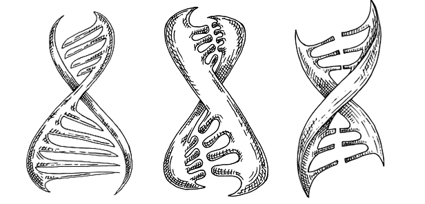 Sketches of DNA