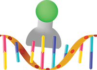 tRNA and mRNA