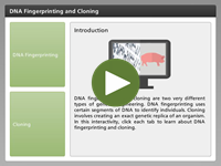 DNA Fingerprinting and Cloning