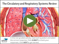 The Circulatory and Respiratory Systems Review