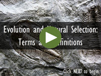 Evolution and Natural Selection: Terms and Definitions