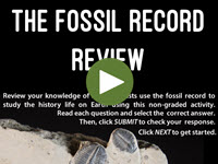 The Fossil Record Review