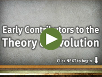 Early Contributors to the Theory of Evolution