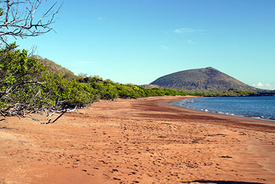 A beach in Galapagos