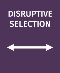 Disruptive Selection