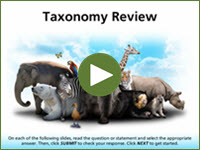 Taxonomy Review